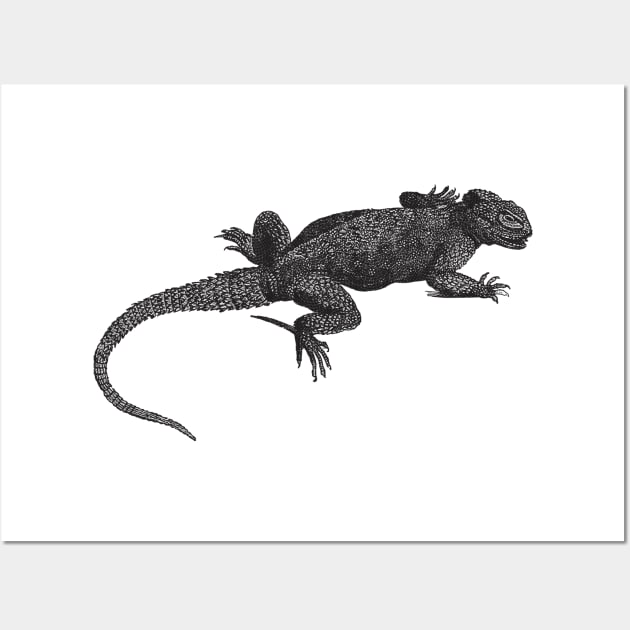 Lizard Nature Drawing Wall Art by KnuckleTonic